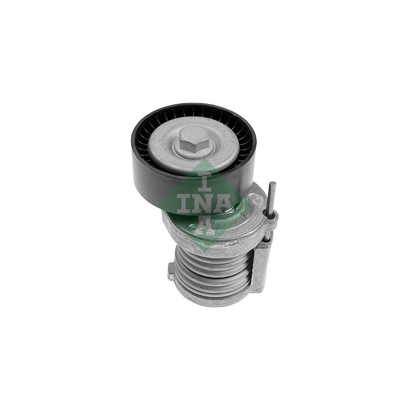 Tendicinghia trapezoidale - INA