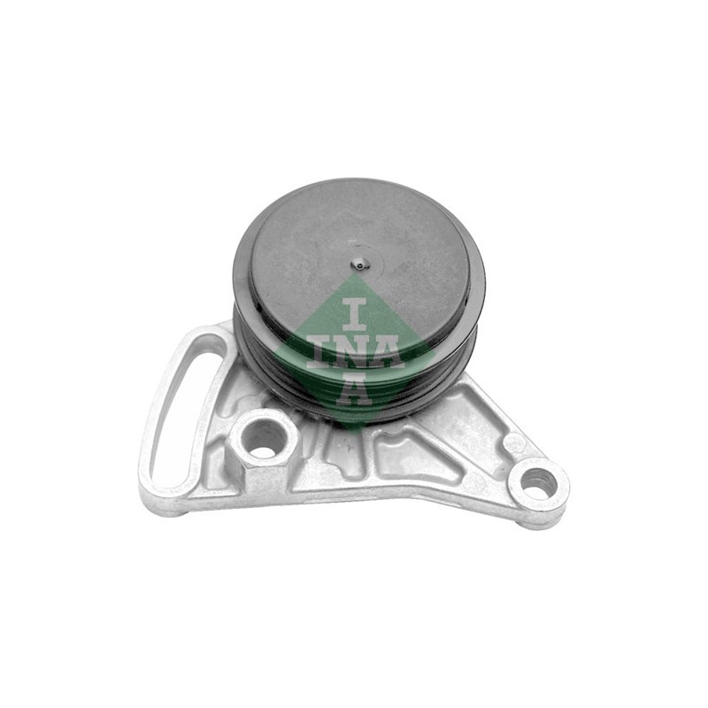 Tendicinghia trapezoidale - INA