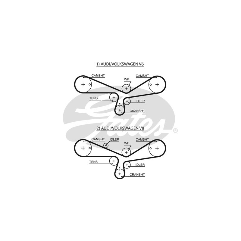 Cinghia/catena distribuzione - GATES