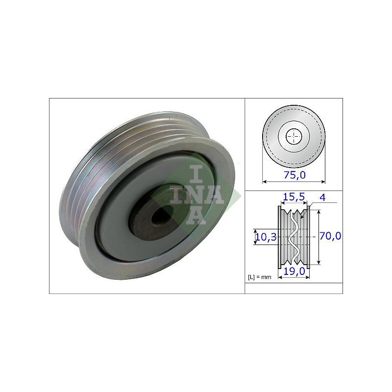 Tendicinghia trapezoidale - INA