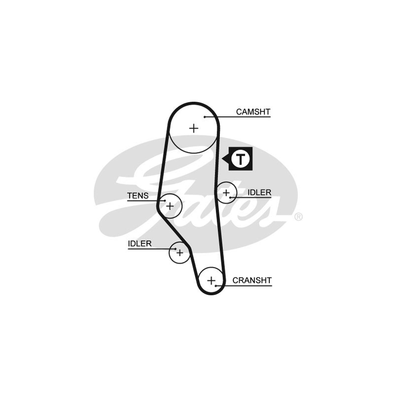 Cinghia/catena distribuzione - GATES