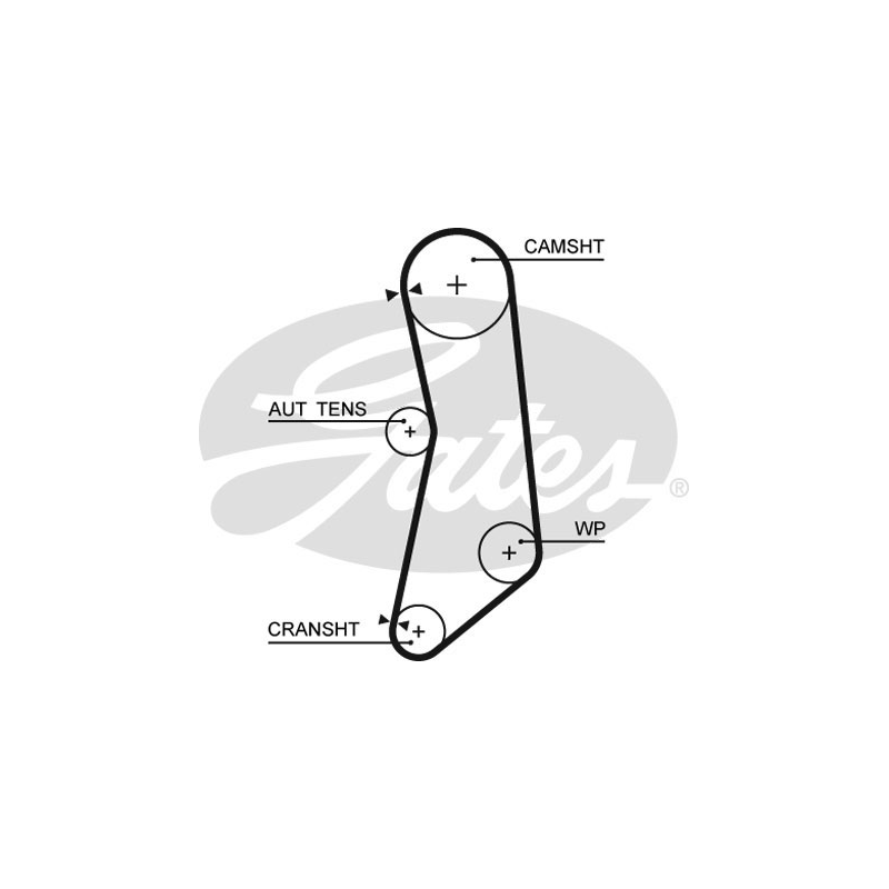 Kit distribuzione - GATES