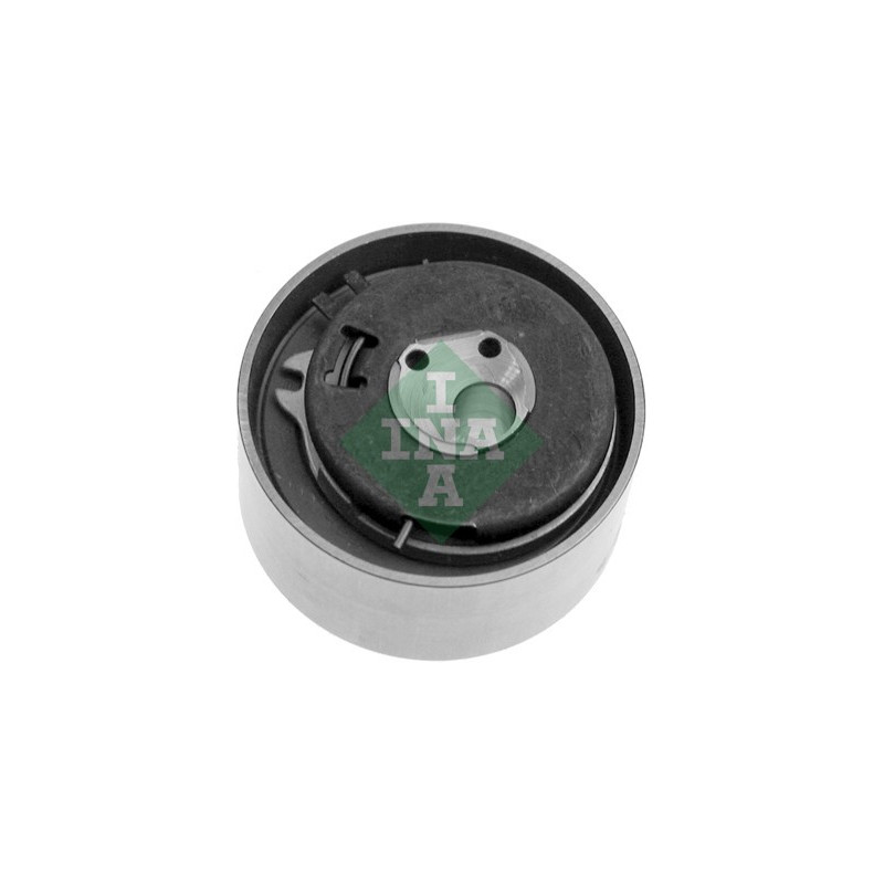 Tendicinghia distribuzione - INA