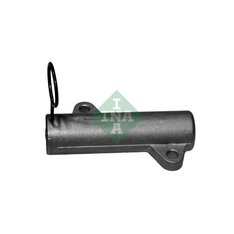 Tendicinghia distribuzione - INA