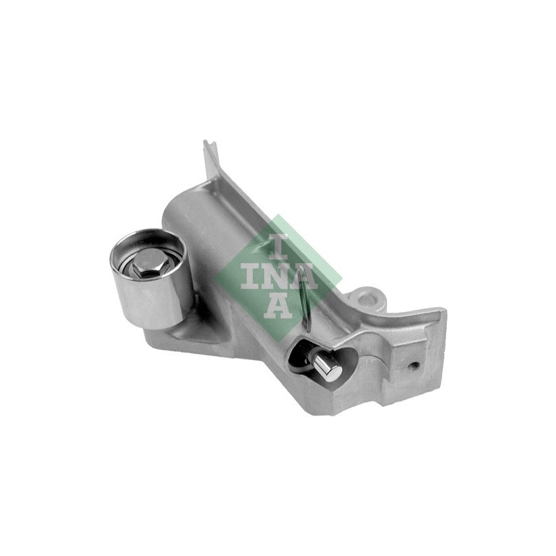 Tendicinghia distribuzione - INA