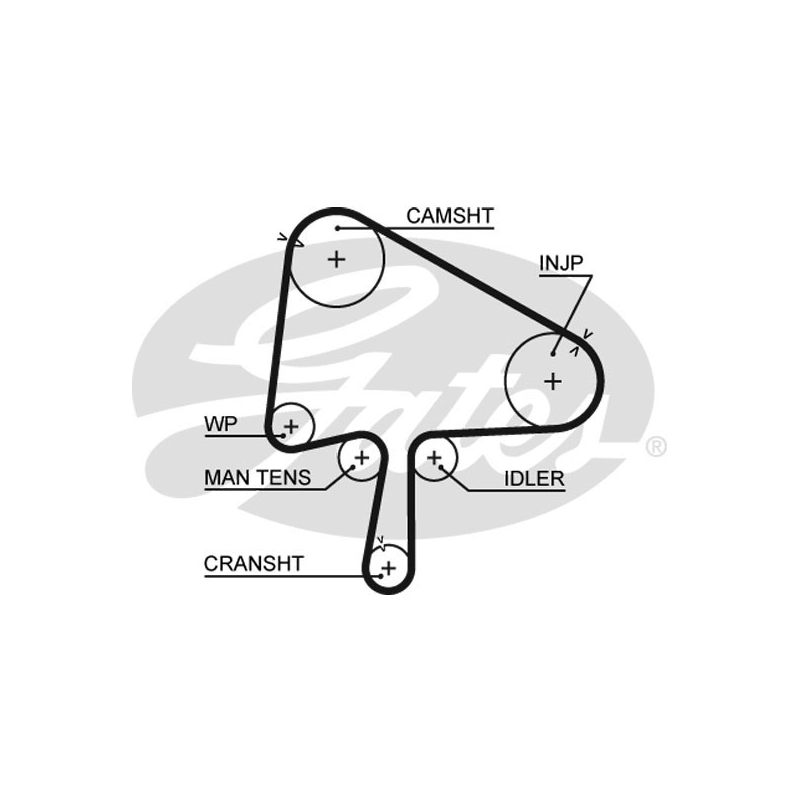 Kit distribuzione - GATES