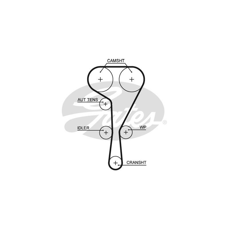 Tendicinghia distribuzione - GATES