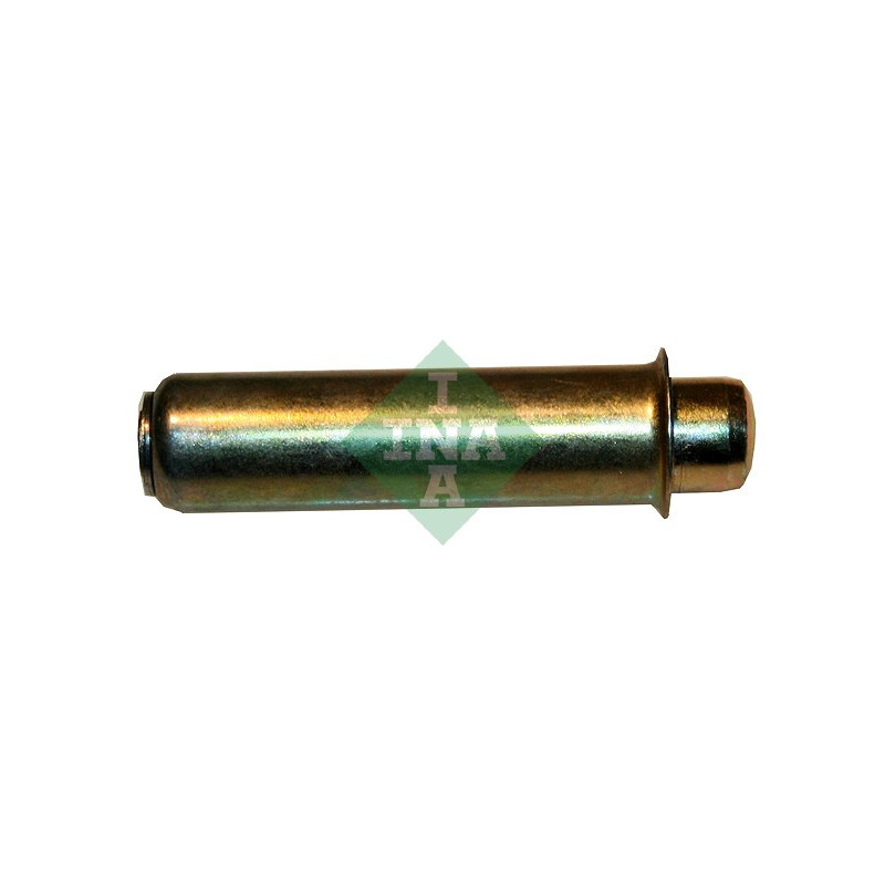 Tendicinghia distribuzione - INA