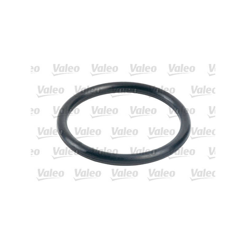 Filtro carburante - VALEO