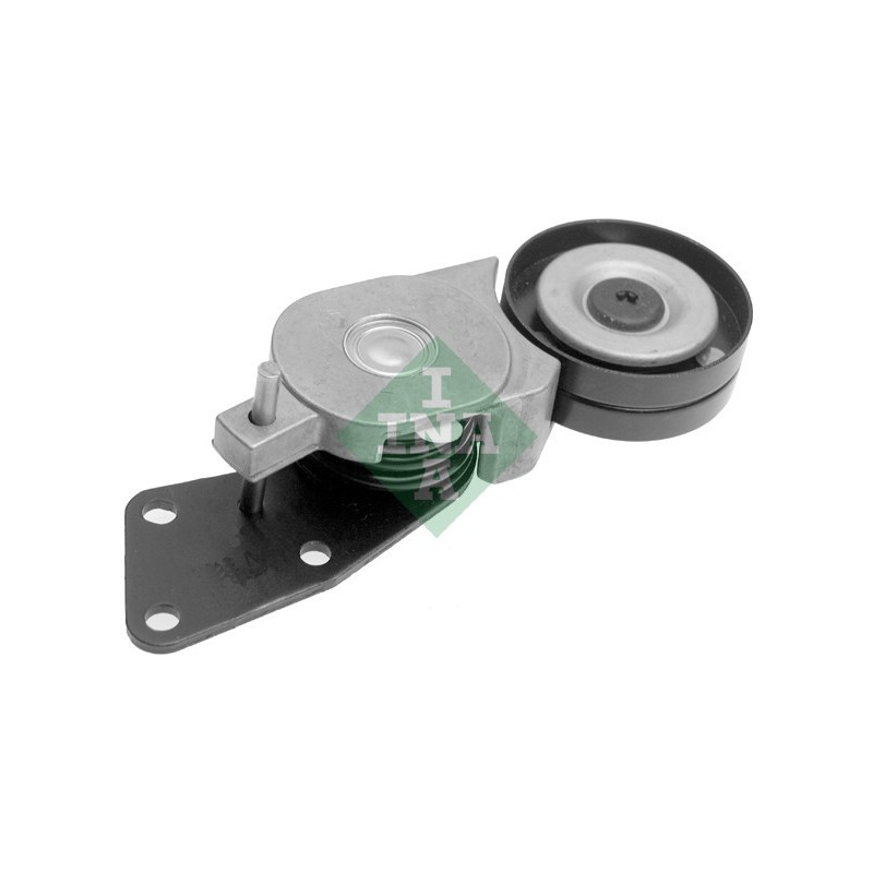 Tendicinghia trapezoidale - INA