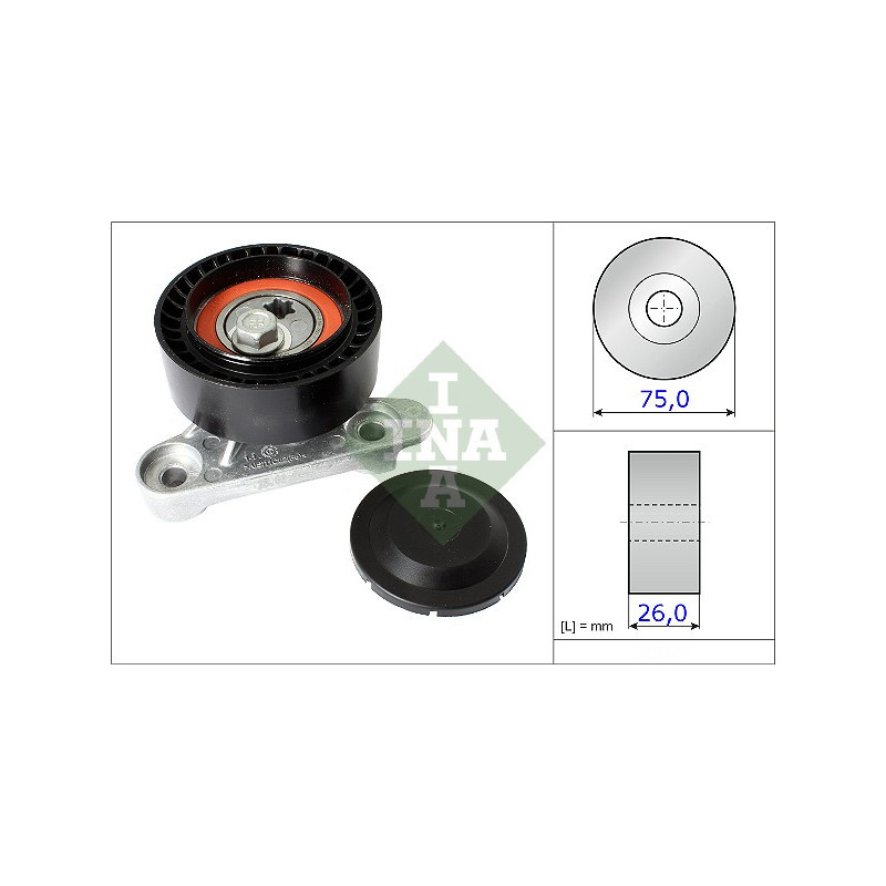 Tendicinghia trapezoidale - INA