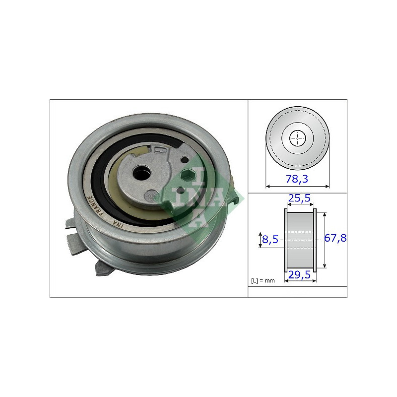 Tendicinghia distribuzione - INA