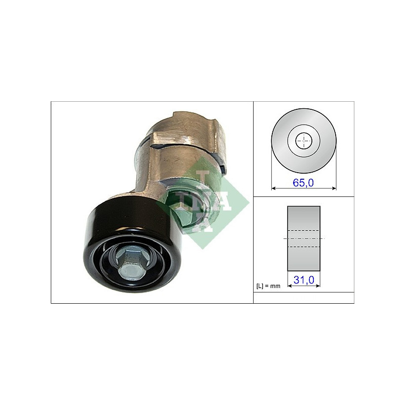 Tendicinghia trapezoidale - INA