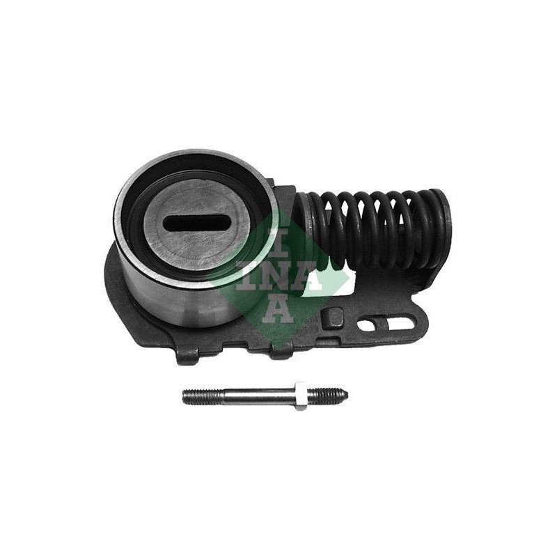 Tendicinghia distribuzione - INA