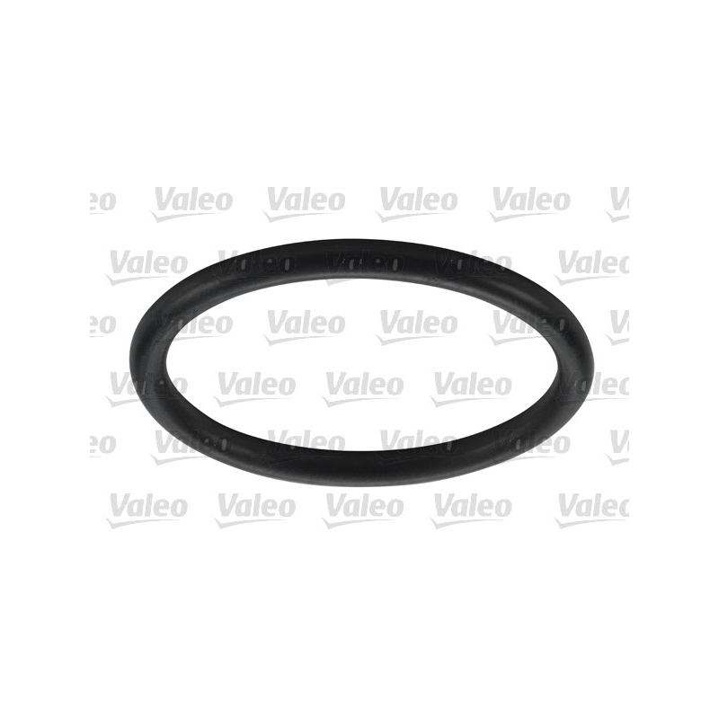 Filtro carburante - VALEO