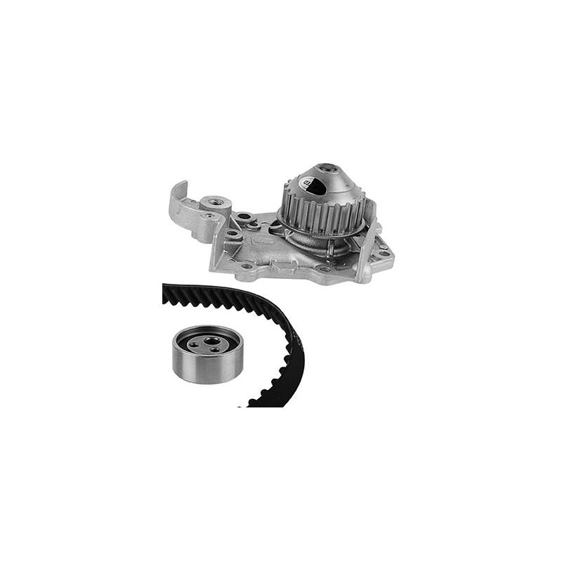 Cinghia/catena distribuzione - GRAF