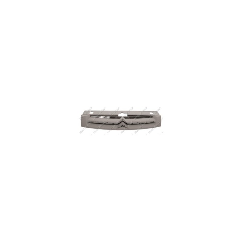 Griglia radiatore - PRASCO