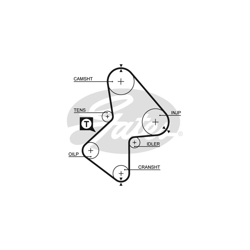 Cinghia/catena distribuzione - GATES