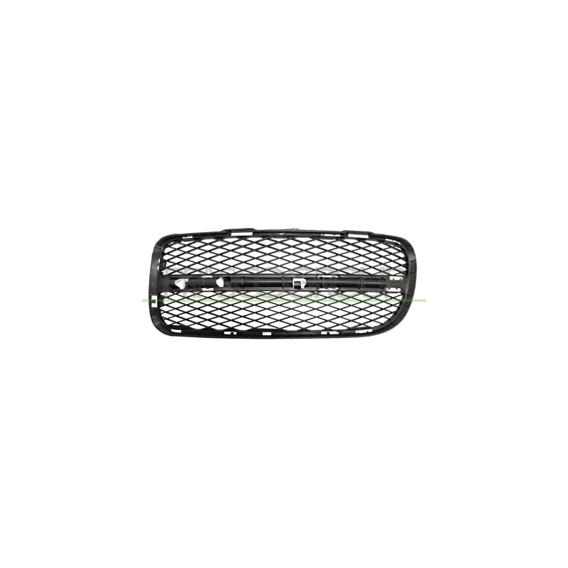 Griglia paraurti - PRASCO