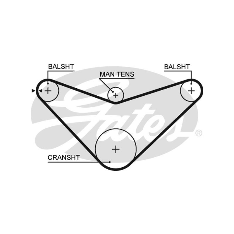 Cinghia/catena distribuzione - GATES