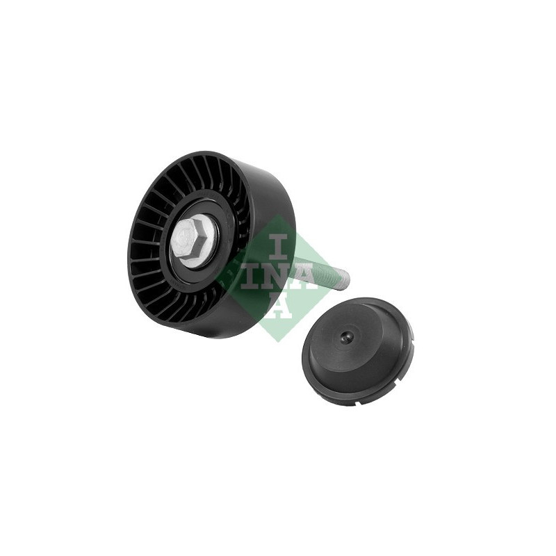 Tendicinghia trapezoidale - INA