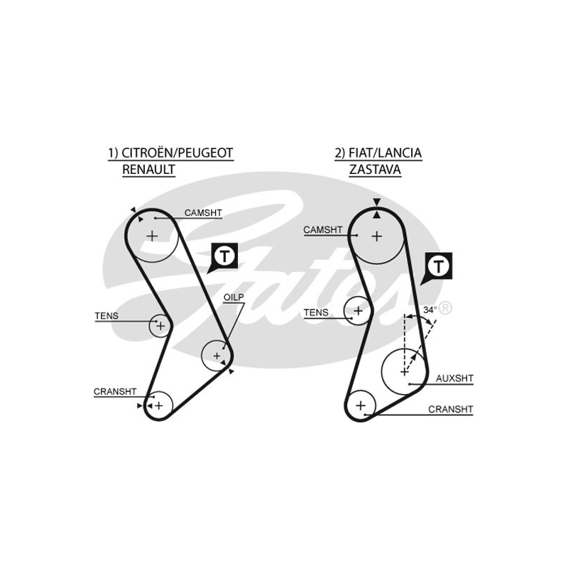 Cinghia/catena distribuzione - GATES