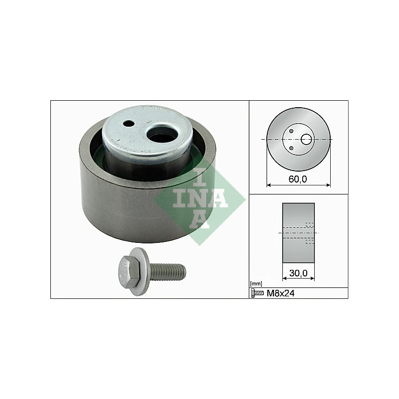 Tendicinghia distribuzione - INA