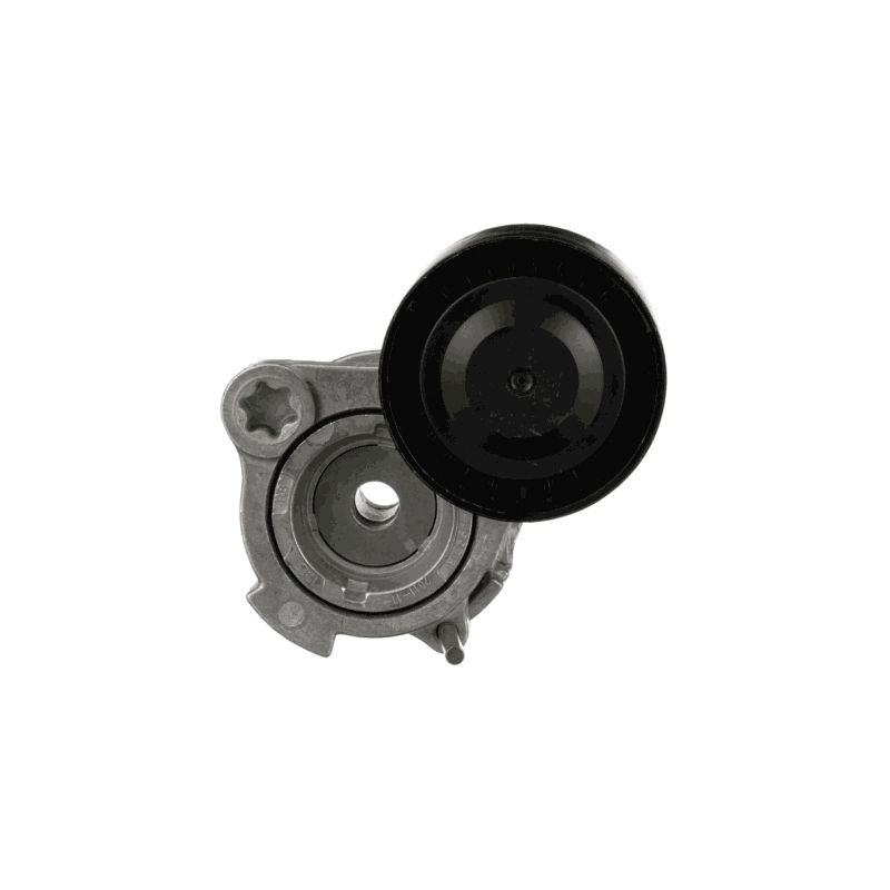 Tendicinghia trapezoidale - GATES