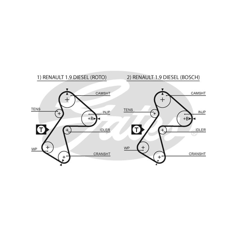 Cinghia/catena distribuzione - GATES