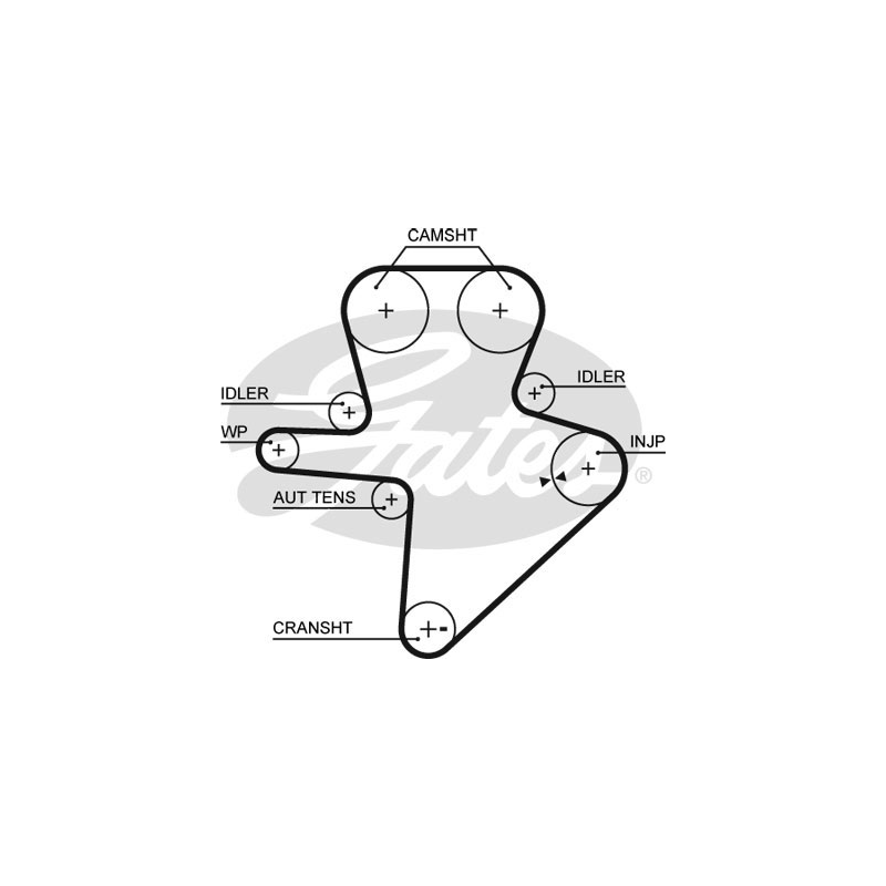Cinghia/catena distribuzione - GATES