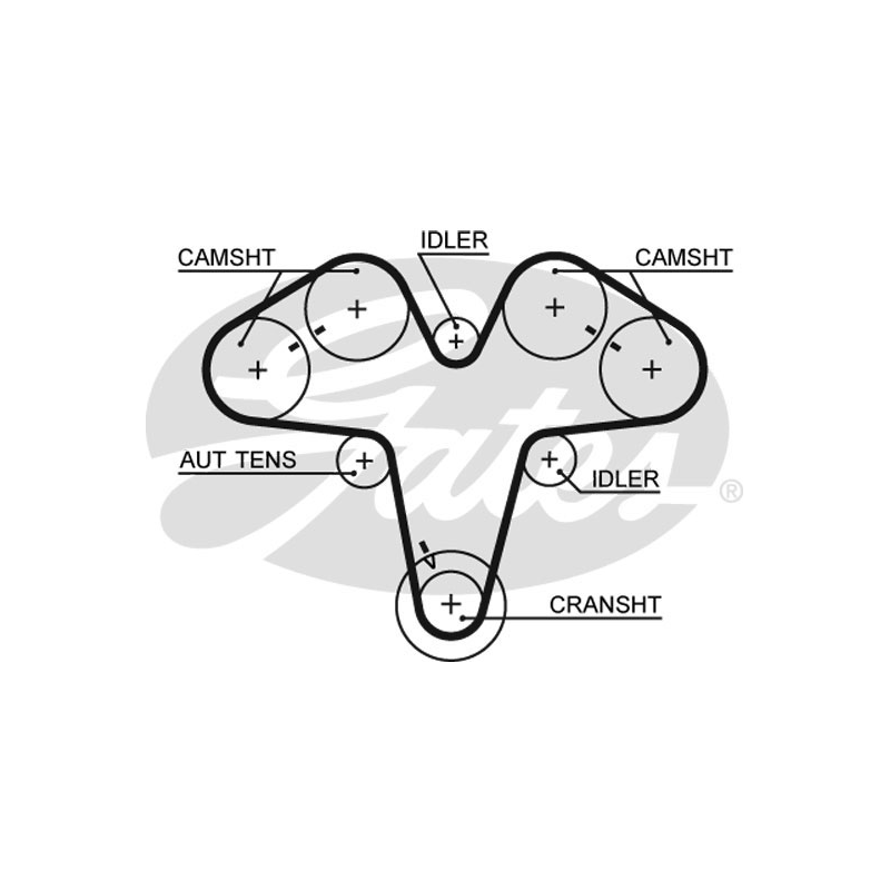 Cinghia/catena distribuzione - GATES