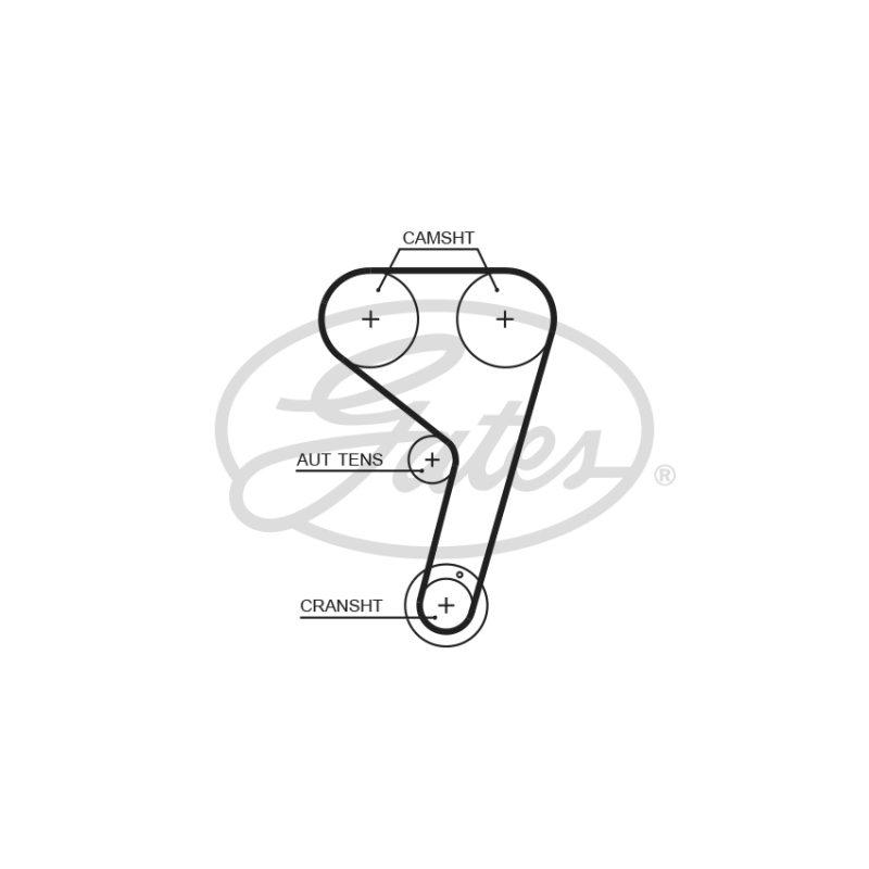 Cinghia/catena distribuzione - GATES