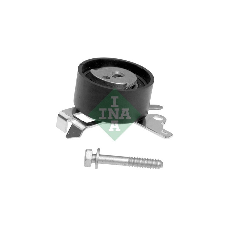 Tendicinghia distribuzione - INA