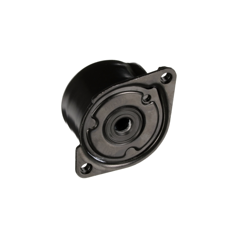 Tendicinghia trapezoidale - GATES