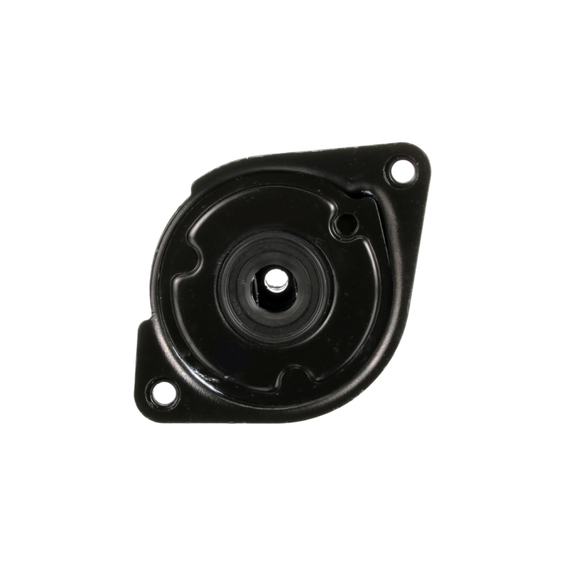 Tendicinghia trapezoidale - GATES