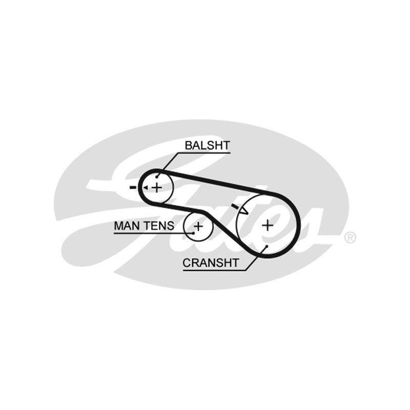 Cinghia/catena distribuzione - GATES