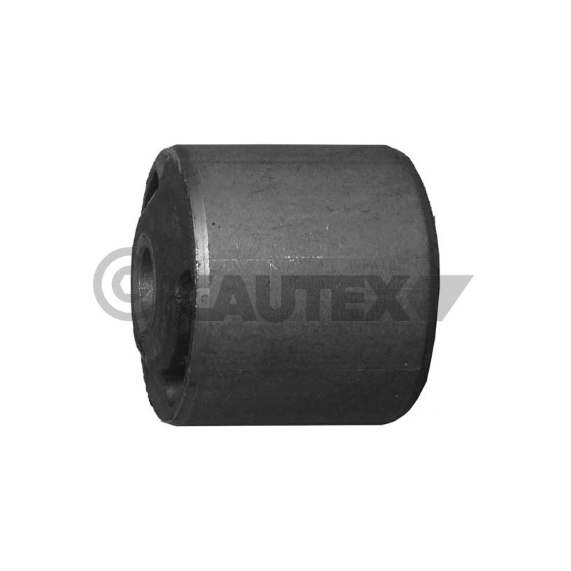 Supporto motore - CAUTEX GOMMA E PARTI MOTORE