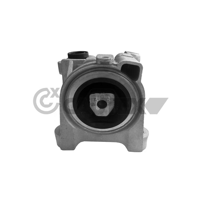 Supporto motore - CAUTEX GOMMA E PARTI MOTORE