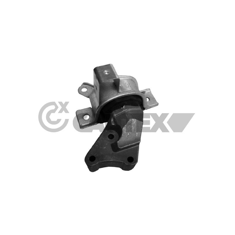 Supporto motore - CAUTEX GOMMA E PARTI MOTORE