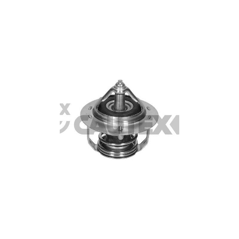 Supporto motore - CAUTEX GOMMA E PARTI MOTORE