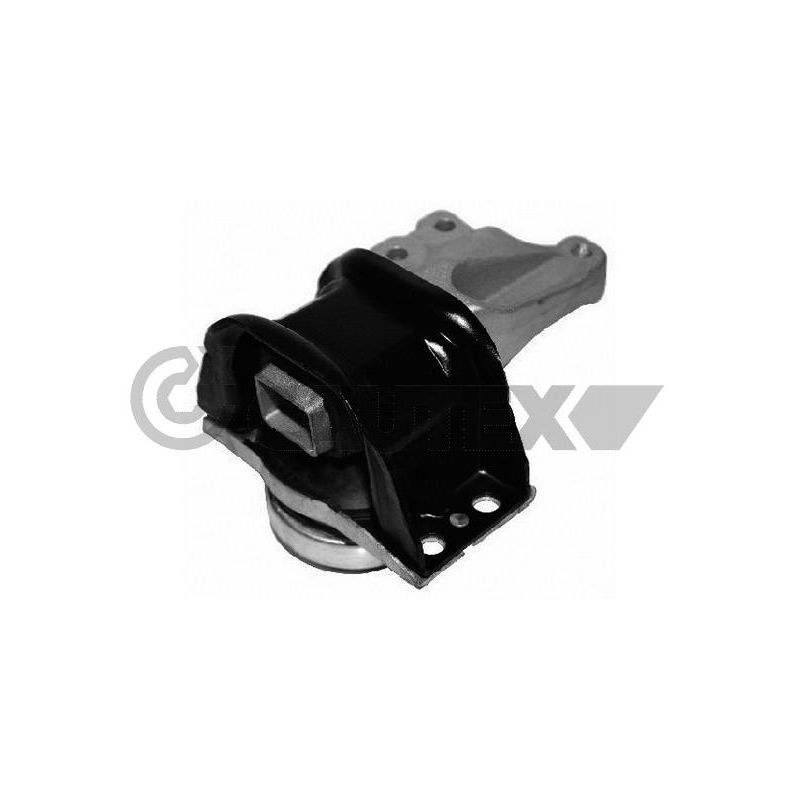 Supporto motore - CAUTEX GOMMA E PARTI MOTORE