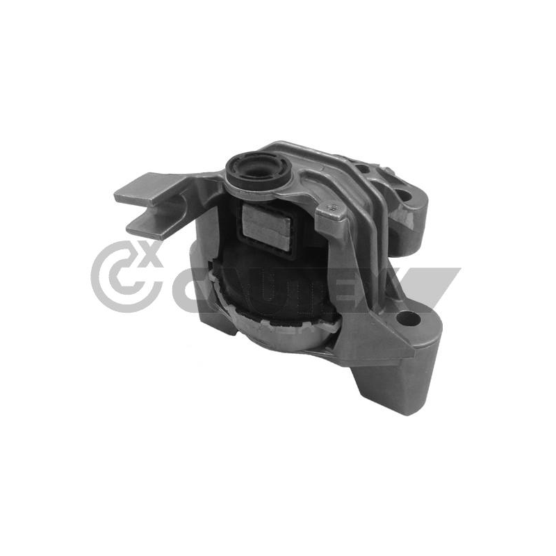 Supporto motore - CAUTEX GOMMA E PARTI MOTORE