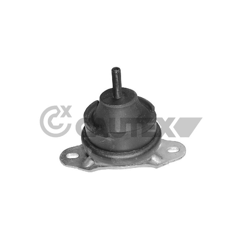 Supporto motore - CAUTEX GOMMA E PARTI MOTORE