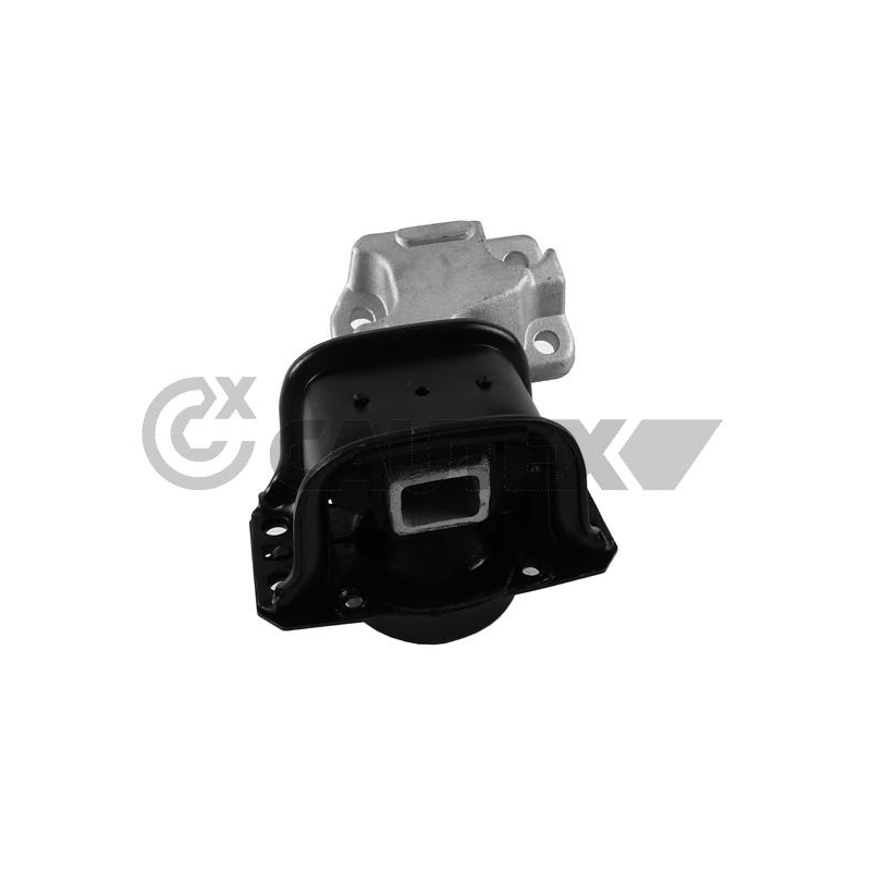 Supporto motore - CAUTEX GOMMA E PARTI MOTORE