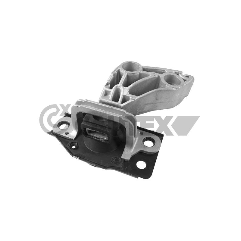 Supporto motore - CAUTEX GOMMA E PARTI MOTORE