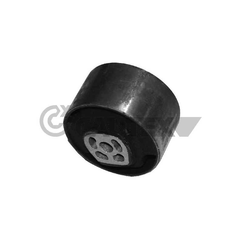 Supporto motore - CAUTEX GOMMA E PARTI MOTORE