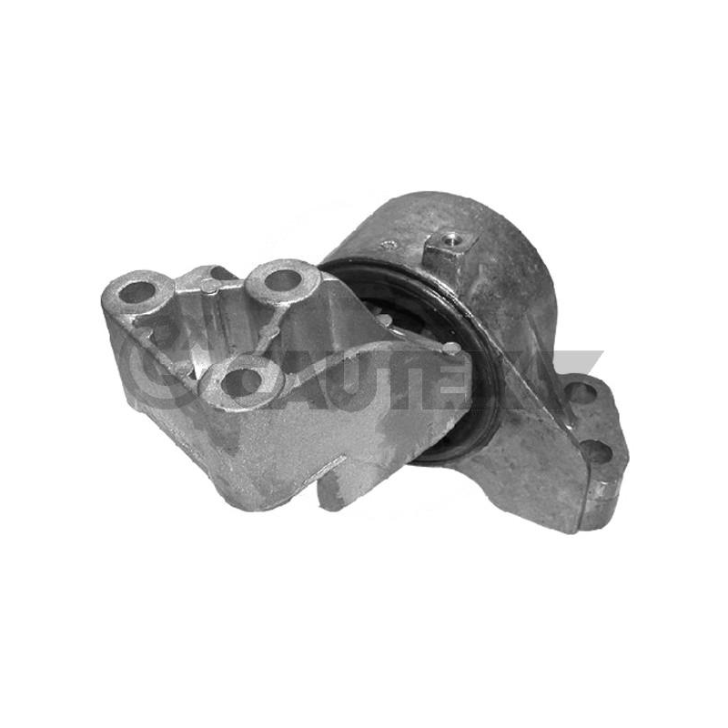 Supporto motore - CAUTEX GOMMA E PARTI MOTORE