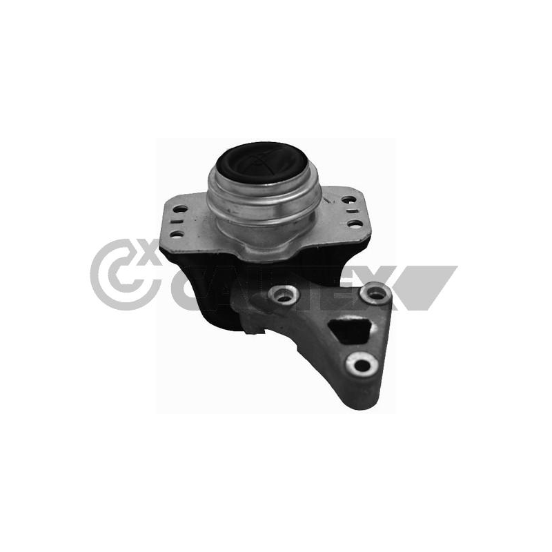 Supporto motore - CAUTEX GOMMA E PARTI MOTORE