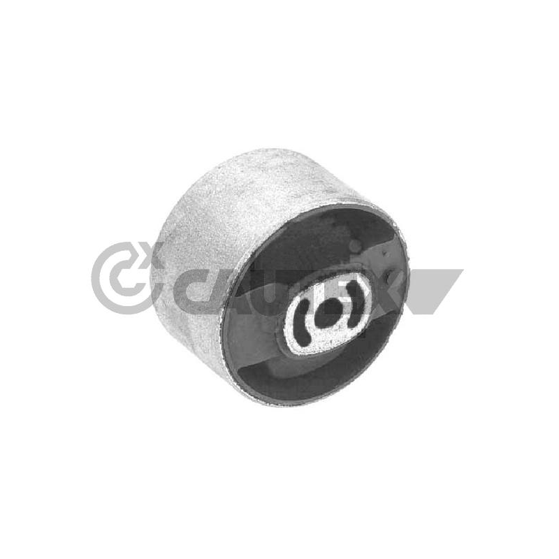 Supporto motore - CAUTEX GOMMA E PARTI MOTORE