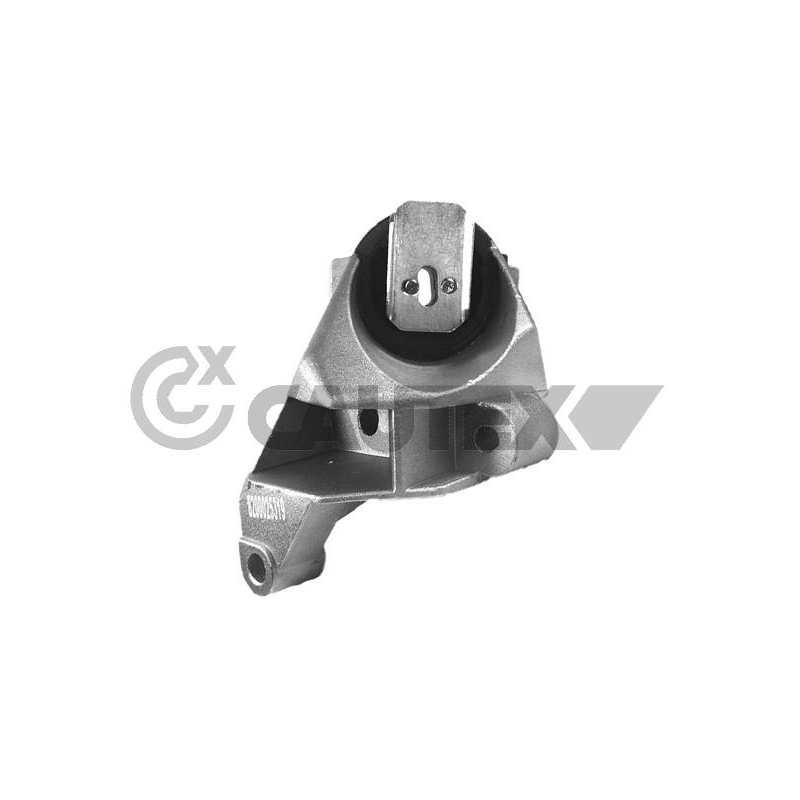 Supporto motore - CAUTEX GOMMA E PARTI MOTORE
